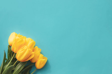 Bouquet of yellow tulips on a blue background. Beautiful yellow flowers in a vase behind the wall. International Women is Day 8 March. Copy space. Flowers llluminating yellow color of the year 2021の写真素材