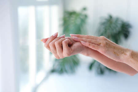 Close-up woman is hands with coffee massage scrub on monstera blurred background. Cosmetology, hand care, spa cosmetics, beauty concept.の写真素材