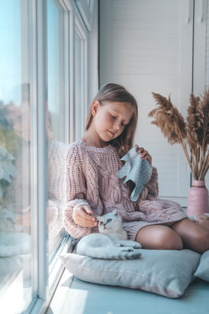 The child sews a soft toy near the window and plays with the kitten. The girl sews up a soft toy of an elephant. handmade, hobby.の写真素材