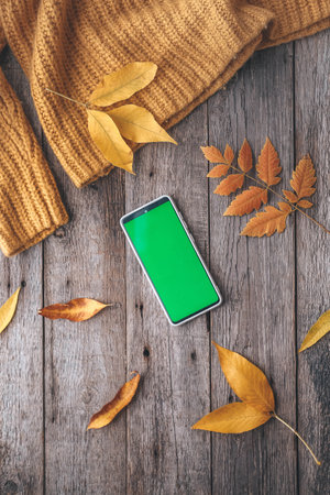 Mobile phone with a green screen on a wooden autumn background. Smartphone autumn yellow leaves. copyspace.の写真素材