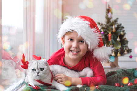 A child in a santa claus hat holds a kitten on the background of a christmas tree. A little boy with a cat is waiting for the new year.の写真素材