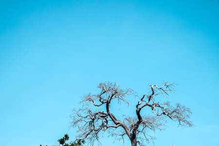 summer in thailandの写真素材