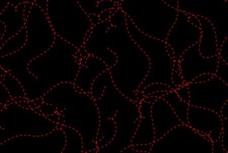 Red dotted line texture dynamic particle effect smooth straight lined backgroundの写真素材