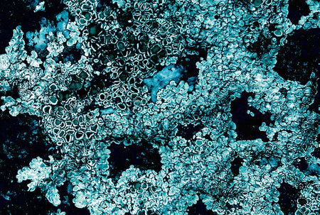 Unique real texture rough pattern image abstract background art