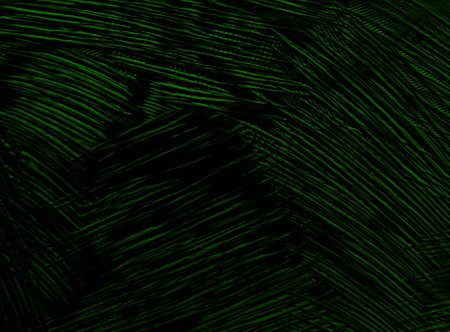 Scratched texture rough pattern image abstract background artの写真素材