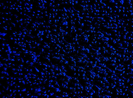 Rough fabric texture grunge textile pattern retro abstract backgroundの写真素材