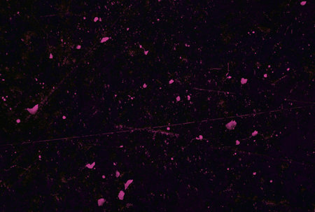 Unique real texture rough pattern image abstract background artの写真素材