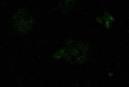 Starry galaxy dark infinite milky way twinkle cosmos astrology interstellar backgroundの写真素材