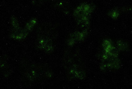 Starry galaxy dark infinite milky way twinkle cosmos astrology interstellar backgroundの写真素材