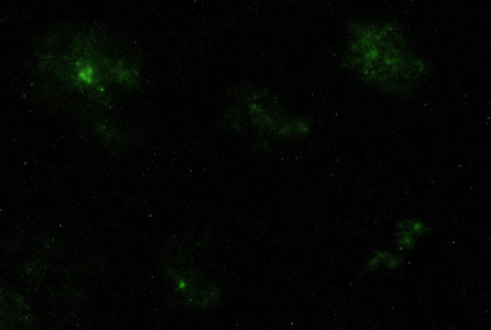 Starry galaxy dark infinite milky way twinkle cosmos astrology interstellar backgroundの写真素材