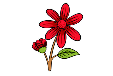 Red flower creative seasonal flora clip art garden decorの写真素材