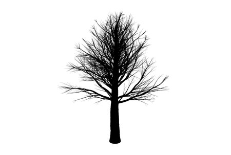 Tree silhouette botanic artwork seasonal wood shape artの写真素材