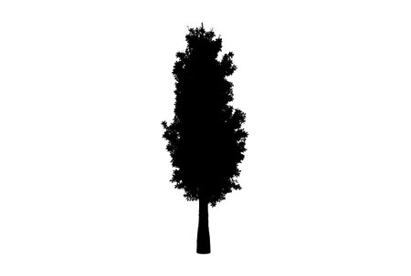 Tree silhouette botanic artwork seasonal wood shape artの写真素材