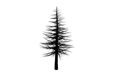 Tree silhouette botanic artwork seasonal wood shape artの写真素材