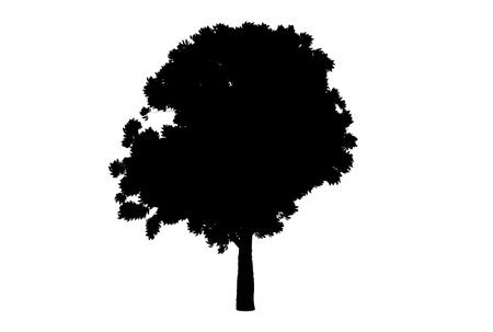 Tree silhouette botanic artwork seasonal wood shape artの写真素材