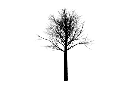 Tree silhouette botanic artwork seasonal wood shape artの写真素材