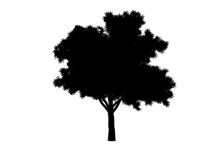 Botanic tree silhouette artwork biology wood shape designの写真素材
