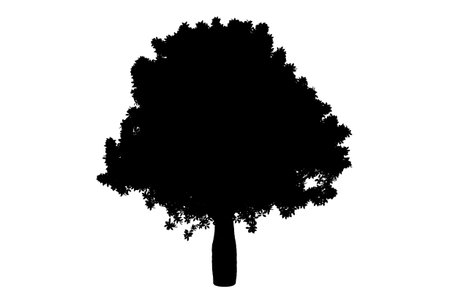 Tree silhouette botanic artwork seasonal wood shape artの写真素材
