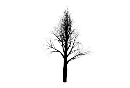 Tree silhouette botanic artwork seasonal wood shape artの写真素材