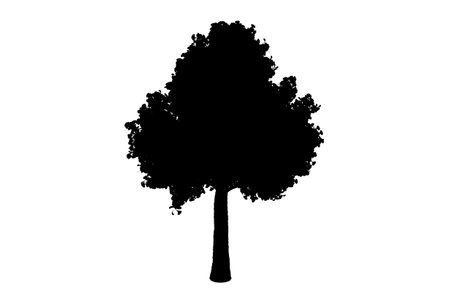 Tree silhouette botanic artwork seasonal wood shape artの写真素材