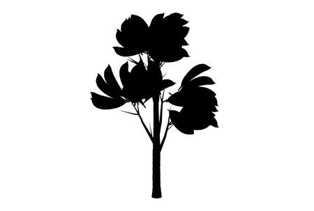 Botanic tree silhouette artwork biology wood shape designの写真素材
