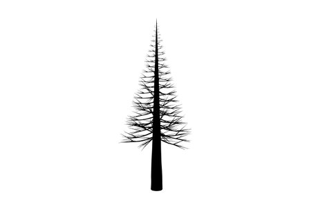 Tree silhouette botanic artwork seasonal wood shape artの写真素材