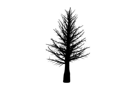 Tree silhouette botanic artwork seasonal wood shape artの写真素材
