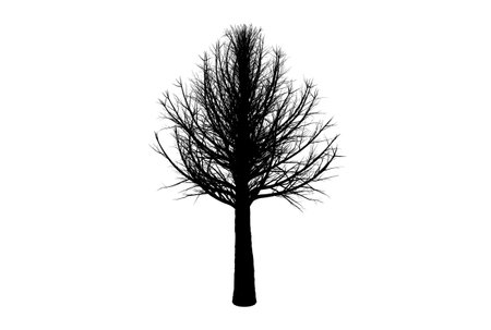 Tree silhouette botanic artwork seasonal wood shape artの写真素材