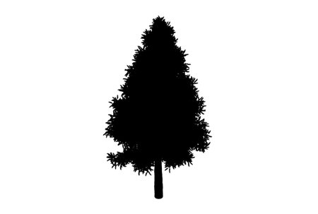 Tree silhouette botanic artwork seasonal wood shape artの写真素材