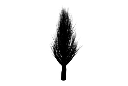 Tree silhouette botanic artwork seasonal wood shape artの写真素材