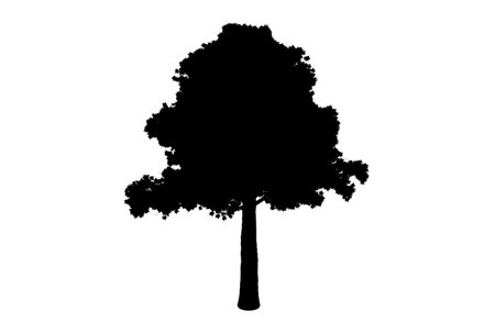 Tree silhouette botanic artwork seasonal wood shape artの写真素材