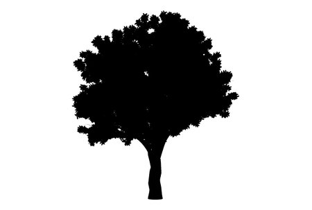 Botanic tree silhouette artwork biology wood shape designの写真素材