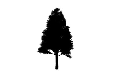 Botanic tree silhouette artwork biology wood shape designの写真素材
