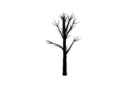 Tree silhouette botanic artwork seasonal wood shape artの写真素材