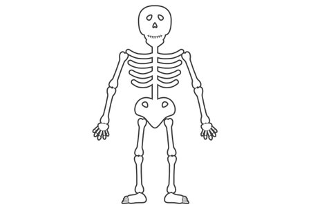 Spooky skeleton character Halloween death bones skeletal body design elementの写真素材