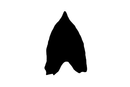 Leaf silhouette black spring design element botanical nature illustration artの写真素材