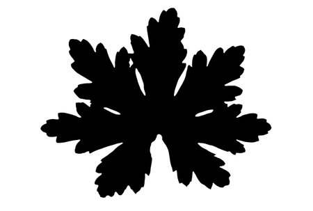 Leaf silhouette black spring design element botanical nature illustration artの写真素材