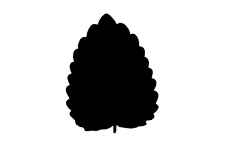 Leaf silhouette black spring design element botanical nature illustration artの写真素材