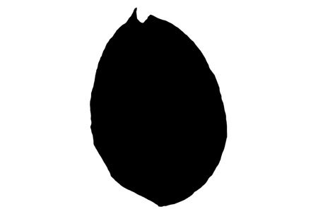 Leaf silhouette black spring design element botanical nature illustration artの写真素材