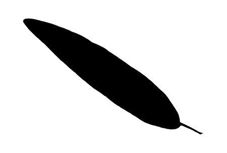 Leaf silhouette black spring design element botanical nature illustration artの写真素材