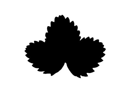 Leaf silhouette black spring design element botanical nature illustration artの写真素材