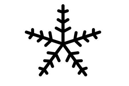 Xmas snowflake winter christmas design element silhouette crystal symbol signの写真素材