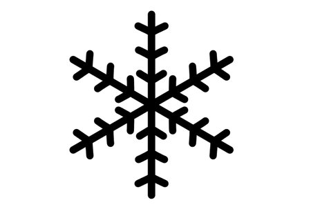 Xmas snowflake winter christmas design element silhouette crystal symbol signの写真素材