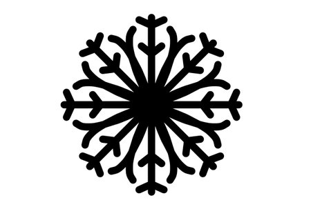 Xmas snowflake winter christmas design element silhouette crystal symbol signの写真素材