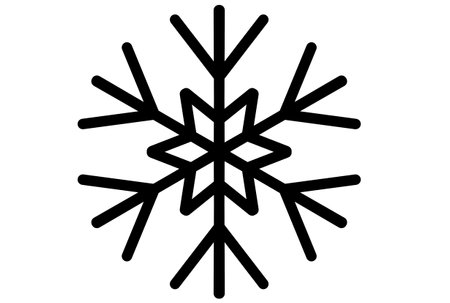 Xmas snowflake winter christmas design element silhouette crystal symbol signの写真素材