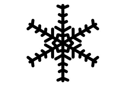 Xmas snowflake winter christmas design element silhouette crystal symbol signの写真素材