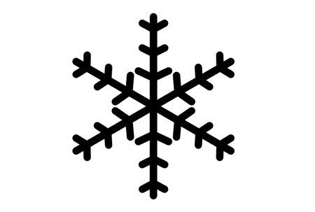 Xmas snowflake winter christmas design element silhouette crystal symbol signの写真素材