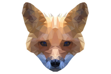 Fox polygon art geometric triangular fauna animal wildlife characterの写真素材