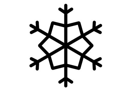 Xmas snowflake winter christmas design element silhouette crystal symbol signの写真素材