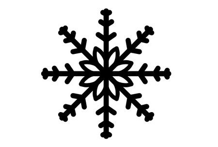 Xmas snowflake winter christmas design element silhouette crystal symbol signの写真素材